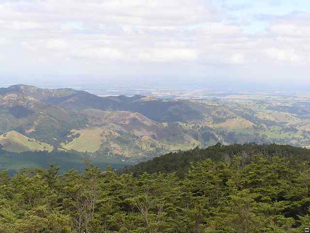NZ leden-unor 2006 166.jpg